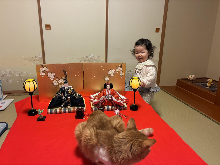 風加ちゃんのお写真1